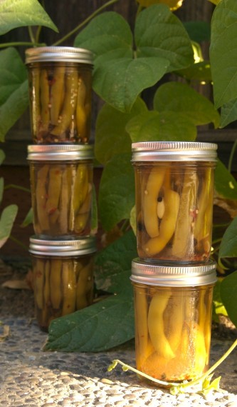 pickledgreenbeans Pickled Green Beans