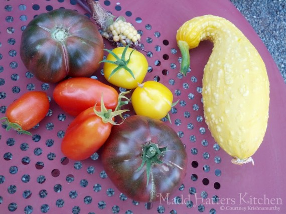 Tomatoes and squash