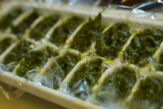 Pesto Cubes